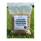 Lolium Perenne Ovation İngiliz Çimi Tohumu 1 Kg (8-10 Günde Hızlı Çimlenme - Şeffaf Paket)
