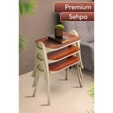 Lomera Home Premium 3’lü Plastik Zigon Sehpa Ahşap Desenli – Modern Salon Yan Sehpa Seti