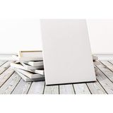 Lona Profesyonel 70x100 cm Tuval