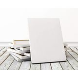 Lona Profesyonel 70x100 cm Tuval