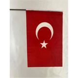 Lona Sanat 10 Adet 50X70 Cm Raşel Kumaş Sopalı Türk Bayrağı