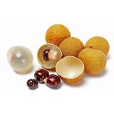 Longan Ejderha Gözü Fidanı 3 Yaş 35 Cm