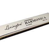 LongMoon LMHM0120 Mızıka 20 Delik Profesyonel Harmonica Kutulu