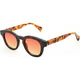 Looklight Pinus Chocolate Unisex Güneş Gözlüğü - 41