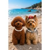 LOOL PREMİUM BÜYÜK İNCİ KOLYE TASMA KÖPEK KOLYESİ BEYAZ İNCİ KOLYE