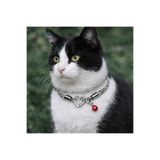 LOOL PREMİUM KEDİ TASMASI TAŞLI PIRLANTALI KEDİ KOLYESİ ŞIK KEDİ TASMASI