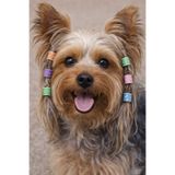 LOOL PREMİUM köpek rasta boncuğu köpek saç boncuğu