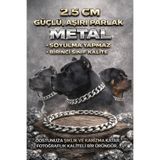 LOOL PREMİUM METAL GÜMÜŞ KÖPEK TASMA KALIN ZİNCİRİ TASMA