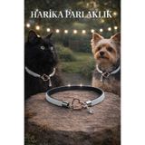 LOOL PREMİUM Parlak taşlı kedi kolyesi köpek kolyesi tasma