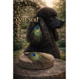 LOOL PREMİUM Tavus kuşu tüyü köpek tokası