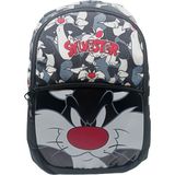 Looney Tunes Sylvester Okul Çantası 2782