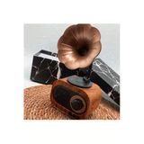 Loovitech B5 Nostaljik Mini Radyo Gramofon Bluetooth/Radyo/Usb/Sd Speaker