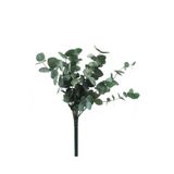 Lora Wedding 50-60gr Şoklanmış Kurutulmuş Okaliptus Çiçeği