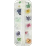Loreen Tırnak Süsleme Nail Art Kurutulmuş Çiçek