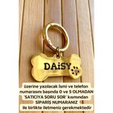 Loren Gift İsme Özel Çelik Kedi Köpek Tasma Künyesi Gold