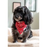 Lorico Desenli Ve Çıtçıtlı Köpek Fuları (Kırmızı Çiçekli)