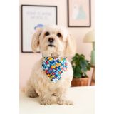 Lorico Desenli Ve Çıtçıtlı Köpek Fuları (Mavi Çiçekli)