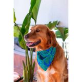Lorico Desenli Ve Çıtçıtlı Köpek Fuları (Mavi Yeşil)