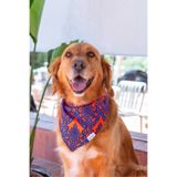 Lorico Desenli Ve Çıtçıtlı Köpek Fuları (Turuncu Mavi)