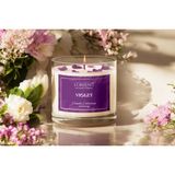 Lorient Vıolet Gardenya Isparta Gülü Kase Soya Mum, 220 Gr