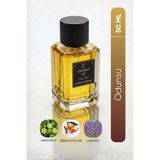 Lorinna Paris ARES XL 50 ML EDP ERKEK PARFÜM