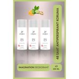 Lorinna Paris Imagination Deodorant Set 3x200 Ml