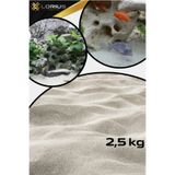 LORIUS 2,5 Kg Akvaryum Kumu Sarı Silis Kum 0.50/0.60mm