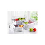 Lossa Üçlü Buzdolabı İçi Süzgeçli ve Bölmeli Organizer Saklama Kabı (2,5lt,5lt,9lt)