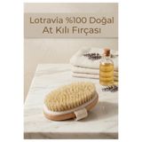 Lotravia %100 Doğal At Kılı Selülit Fırçası
