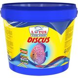 Lotus Discus Kova Balık Yemi 3 kg