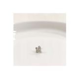 LOTUS GÜMÜŞ TRAGUS PIERCING - RODYUM BEYAZ