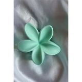 Lotus Mandal Toka Pastel Mat Pastellotus
