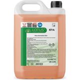 Lotus Oda Kokusu |kötü Koku Giderici, Kumaş, Koltuk, Halı ve Araç Için Kalıcı Ortam Kokusu Riya 5 Litre - 001-Beyaz