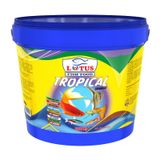 Lotus Tropical 3 KG Kova Lepistes Tropikal Balık Yemi