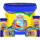 Lotus Tropical Mix 3kg Kova, 4X100ML Guppy Granulat Kutu Lepistes Melek Moli Canlı Doğuran Akvaryum Balık Yemi