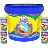 Lotus Tropikal Mix 3kg Kova, 4X100ML Pure Red Colour Cips Lepistes Melek Moli Canlı Doğuran Akvaryum Balık Yemi
