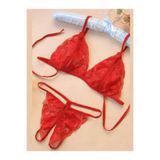 LOVE ATELİER Büyük Beden Fantezi Kırmızı Dantelli Seksi Sütyen Kilot Takım TG279703-B
