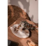 Love Bundles Inci Deniz Kabuğu Ve 2li Palo Santo Ile Adaçayı Tütsü Demeti Seti inci