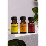 Love Bundles Kış Uçucu Yağ Seti | Buhurdanlık Esansı | Aromaterapi | Uçucu Yağ Buhurdanlık Yağı 10ml