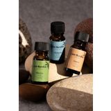 Love Bundles Sonbahar Uçucu Yağ Seti | Buhurdanlık Esansı | Aromaterapi | Uçucu Yağ Buhurdanlık Yağı 10ml