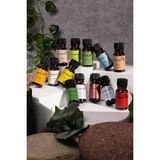 Love Bundles Uçucu Yağ Seti 13 Adet | Buhurdanlık | Aromaterapi | Uçucu Yağ Buhurdanlık Yağı 10ml