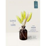 Love in Life İthal Cam Vazo Çubuklu Dekoratif Oda Kokusu Seti Oda Kokusu Hediyeli