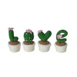 Love Kaktüs Seti Amigurumi Organik Oyuncak