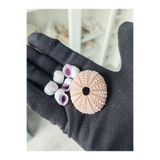 love your shell Pembe Deniz Kestanesi ve Mor Deniz Kabukları Seti: Evinize Doğanın Zarafetini Taşıyın