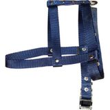 Lovely Ayarlanır Köpek Göğüs Tasması 2cm 5-17 Kg Aralığındaki Köpeklere LACİVERT