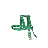 Lovely Ayarlanır Köpek Göğüs Tasması 2cm 5-17 Kg Aralığındaki Köpeklere YEŞİL