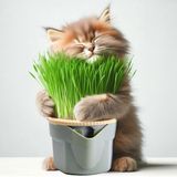 LOVEX %100 Topraksız Doğal Kedi Çimi Pet Köpek Otu Tohumu Fileli Hidroponik Sulu Kolay Yetiştirme Saksısı - Açık Yeşil