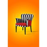 Lovısse Home Zebra Berjer - Misafir, Bekleme Koltugu,Ofis, Cafe , Cay Seti Berjer