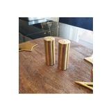 LOVYCO Mat Gold Paslanmaz Tuzluk 2'li Set Baharatlık ,Biberlik Metal Baharatlık