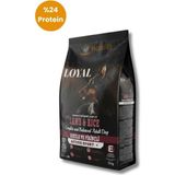 Loyal Active Sport Kuzu Etli ve Pirinçli Yetişkin Köpek Maması 15 kg - Aktif Dostlar Için Dengeli Beslenme